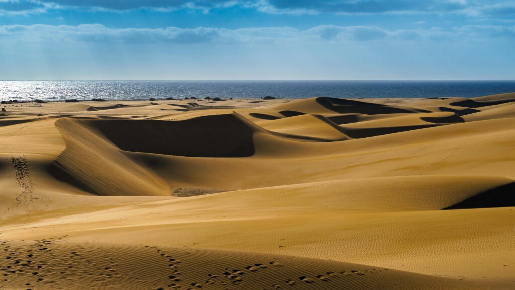 Dünen von Maspalomas